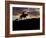 Cowboy in Silhouette with Sunset-Terry Eggers-Framed Photographic Print