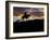 Cowboy in Silhouette with Sunset-Terry Eggers-Framed Photographic Print