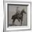 Cowboy Jim "Kid" Willoughby Champion Rider And Roper From Cheyenne, Wyoming-C.D. Kirkland-Framed Art Print