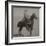 Cowboy Jim "Kid" Willoughby Champion Rider And Roper From Cheyenne, Wyoming-C.D. Kirkland-Framed Art Print