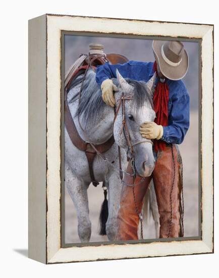 Cowboy Leading and Stroking His Horse, Flitner Ranch, Shell, Wyoming, USA-Carol Walker-Framed Premier Image Canvas