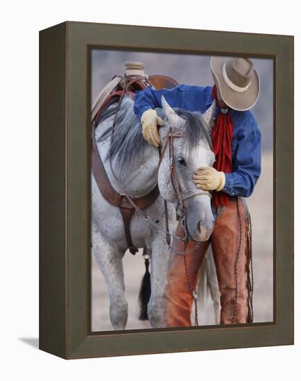 Cowboy Leading and Stroking His Horse, Flitner Ranch, Shell, Wyoming, USA-Carol Walker-Framed Premier Image Canvas