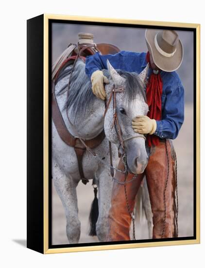 Cowboy Leading and Stroking His Horse, Flitner Ranch, Shell, Wyoming, USA-Carol Walker-Framed Premier Image Canvas