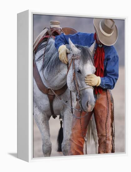 Cowboy Leading and Stroking His Horse, Flitner Ranch, Shell, Wyoming, USA-Carol Walker-Framed Premier Image Canvas