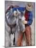 Cowboy Leading and Stroking His Horse, Flitner Ranch, Shell, Wyoming, USA-Carol Walker-Mounted Photographic Print