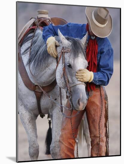 Cowboy Leading and Stroking His Horse, Flitner Ranch, Shell, Wyoming, USA-Carol Walker-Mounted Photographic Print