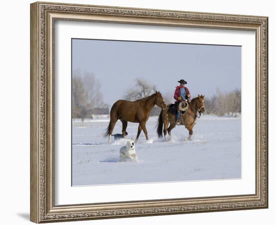 Cowboy Leading Sorrel Quarter Horse Geldings, with Two Mixed Breed Dogs, Longmont, Colorado, USA-Carol Walker-Framed Photographic Print