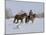 Cowboy Leading Sorrel Quarter Horse Geldings, with Two Mixed Breed Dogs, Longmont, Colorado, USA-Carol Walker-Mounted Photographic Print