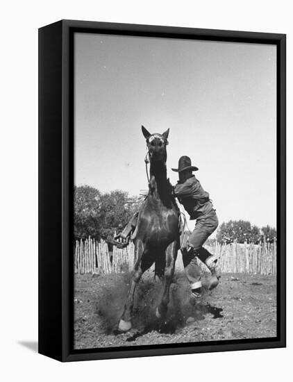 Cowboy Mounting a Horse-Carl Mydans-Framed Premier Image Canvas