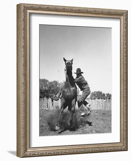 Cowboy Mounting a Horse-Carl Mydans-Framed Photographic Print