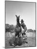 Cowboy Mounting a Horse-Carl Mydans-Mounted Photographic Print