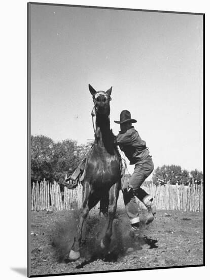 Cowboy Mounting a Horse-Carl Mydans-Mounted Photographic Print