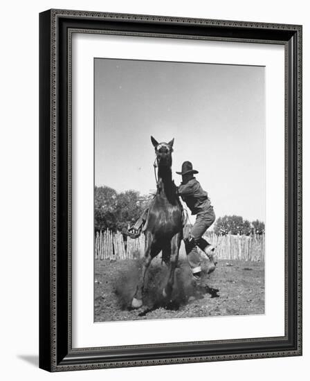 Cowboy Mounting a Horse-Carl Mydans-Framed Photographic Print