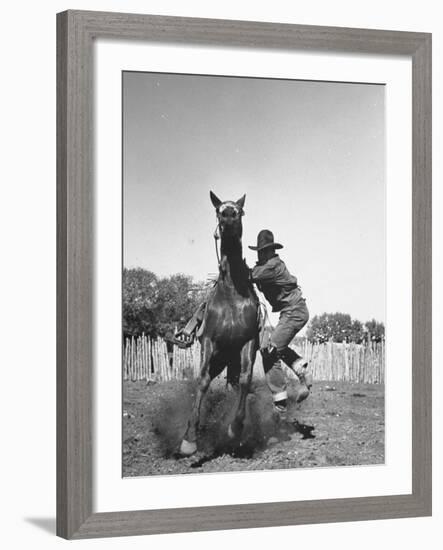 Cowboy Mounting a Horse-Carl Mydans-Framed Photographic Print