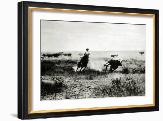 Cowboy on Horseback Lassooing a Calf-L.a. Huffman-Framed Giclee Print