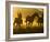 Cowboy on Horseback, Ponderosa Ranch, Seneca, Oregon, USA-Wendy Kaveney-Framed Photographic Print