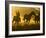 Cowboy on Horseback, Ponderosa Ranch, Seneca, Oregon, USA-Wendy Kaveney-Framed Photographic Print