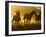 Cowboy on Horseback, Ponderosa Ranch, Seneca, Oregon, USA-Wendy Kaveney-Framed Photographic Print