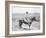 Cowboy on Horseback Watches His Herd Photograph - Texas-Lantern Press-Framed Art Print