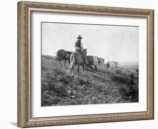 Cowboy on Horseback with Herd of Horses Photograph - Texas-Lantern Press-Framed Art Print