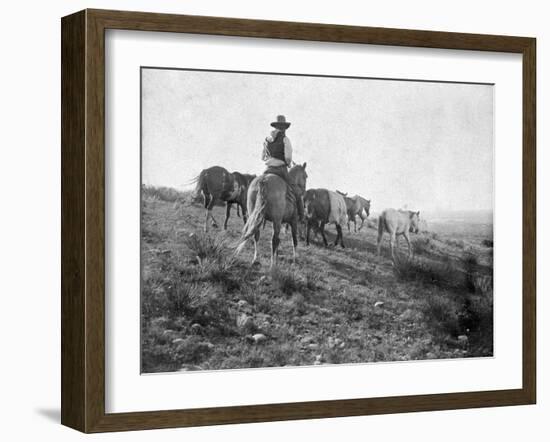 Cowboy on Horseback with Herd of Horses Photograph - Texas-Lantern Press-Framed Art Print