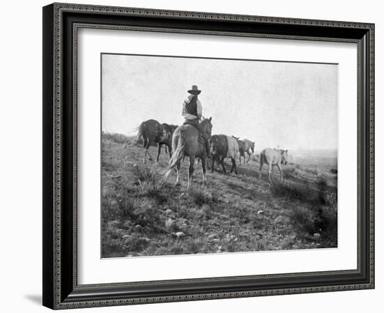 Cowboy on Horseback with Herd of Horses Photograph - Texas-Lantern Press-Framed Art Print