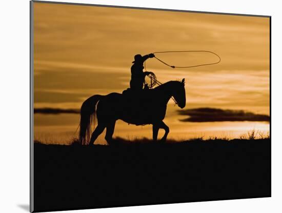 Cowboy on Horses on Hideout Ranch, Shell, Wyoming, USA-Joe Restuccia III-Mounted Photographic Print