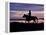 Cowboy on Horses on Hideout Ranch, Shell, Wyoming, USA-Joe Restuccia III-Framed Premier Image Canvas