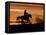 Cowboy on Horses on Hideout Ranch, Shell, Wyoming, USA-Joe Restuccia III-Framed Premier Image Canvas