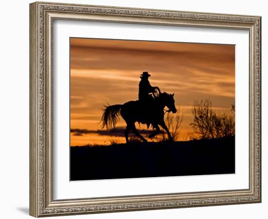 Cowboy on Horses on Hideout Ranch, Shell, Wyoming, USA-Joe Restuccia III-Framed Photographic Print