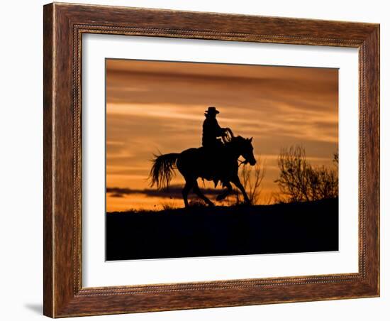 Cowboy on Horses on Hideout Ranch, Shell, Wyoming, USA-Joe Restuccia III-Framed Photographic Print