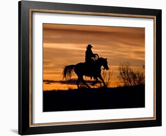 Cowboy on Horses on Hideout Ranch, Shell, Wyoming, USA-Joe Restuccia III-Framed Photographic Print