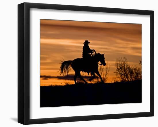 Cowboy on Horses on Hideout Ranch, Shell, Wyoming, USA-Joe Restuccia III-Framed Photographic Print