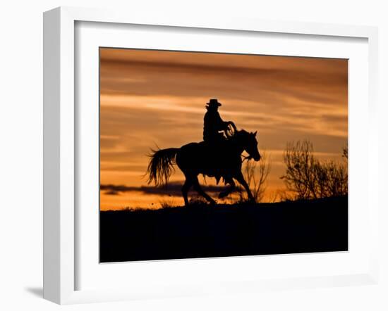 Cowboy on Horses on Hideout Ranch, Shell, Wyoming, USA-Joe Restuccia III-Framed Photographic Print