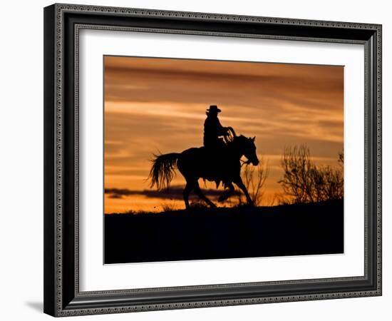 Cowboy on Horses on Hideout Ranch, Shell, Wyoming, USA-Joe Restuccia III-Framed Photographic Print