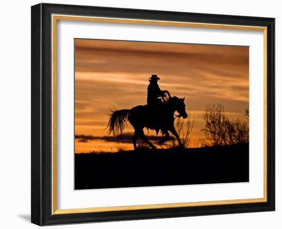 Cowboy on Horses on Hideout Ranch, Shell, Wyoming, USA-Joe Restuccia III-Framed Photographic Print