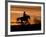 Cowboy on Horses on Hideout Ranch, Shell, Wyoming, USA-Joe Restuccia III-Framed Photographic Print