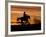 Cowboy on Horses on Hideout Ranch, Shell, Wyoming, USA-Joe Restuccia III-Framed Photographic Print