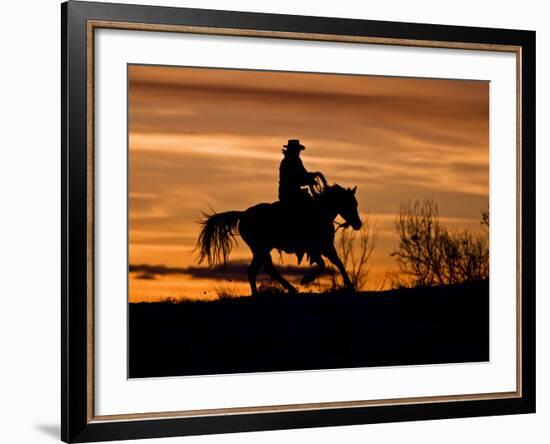 Cowboy on Horses on Hideout Ranch, Shell, Wyoming, USA-Joe Restuccia III-Framed Photographic Print