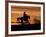 Cowboy on Horses on Hideout Ranch, Shell, Wyoming, USA-Joe Restuccia III-Framed Photographic Print