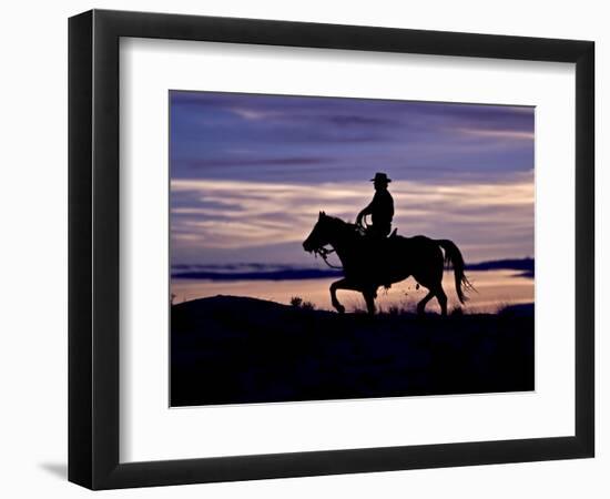 Cowboy on Horses on Hideout Ranch, Shell, Wyoming, USA-Joe Restuccia III-Framed Photographic Print