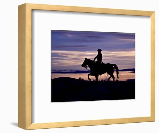 Cowboy on Horses on Hideout Ranch, Shell, Wyoming, USA-Joe Restuccia III-Framed Photographic Print