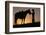 Cowboy Petting Horse at Sunset-Darrell Gulin-Framed Photographic Print