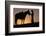 Cowboy Petting Horse at Sunset-Darrell Gulin-Framed Photographic Print