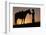 Cowboy Petting Horse at Sunset-Darrell Gulin-Framed Photographic Print