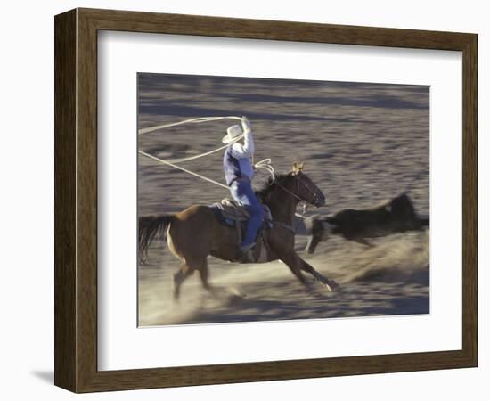 Cowboy Rides Horse in Calf-Roping Rodeo Competition, Big Timber, Montana, USA-Jamie & Judy Wild-Framed Photographic Print