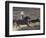 Cowboy Rides Horse in Calf-Roping Rodeo Competition, Big Timber, Montana, USA-Jamie & Judy Wild-Framed Photographic Print