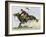 Cowboy Riding a Newly Trained Horse-null-Framed Giclee Print