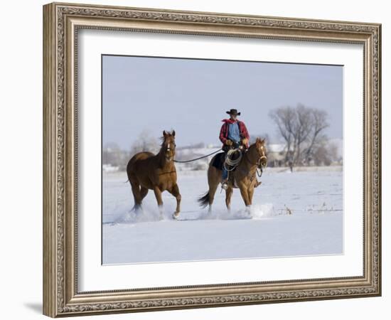 Cowboy Riding Red Dun Quarter Horse Gelding Through Snow, Bethoud, Colorado, USA-Carol Walker-Framed Photographic Print