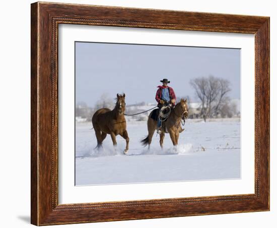 Cowboy Riding Red Dun Quarter Horse Gelding Through Snow, Bethoud, Colorado, USA-Carol Walker-Framed Photographic Print